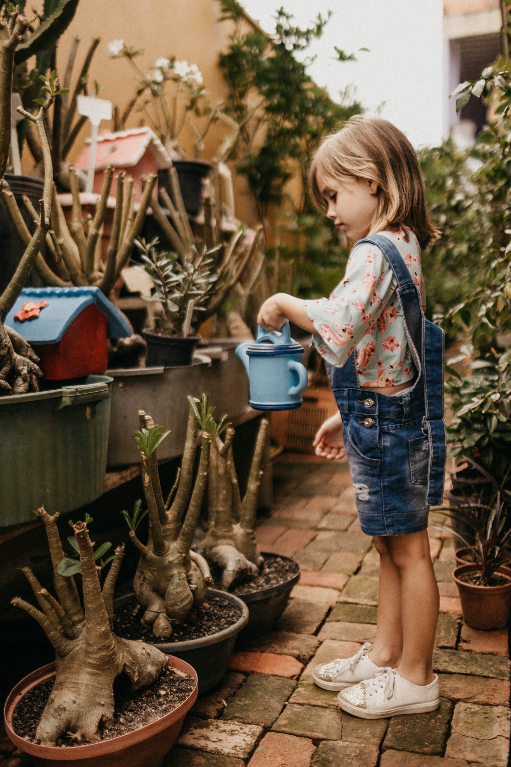 jonathan-borba-JzCC_b280fM-unsplash